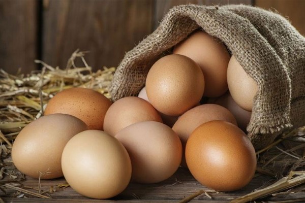 تصویر 5 از خرید تخم مرغ محلی + قیمت فروش استثنایی